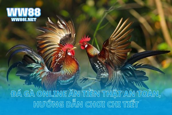 Đá Gà Online Ăn Tiền Thật An Toàn, Hướng Dẫn Chơi Chi Tiết
